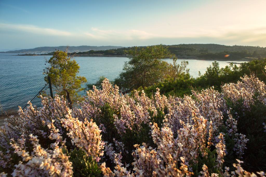 Villa Irini Porto Cheli Exteriér fotografie