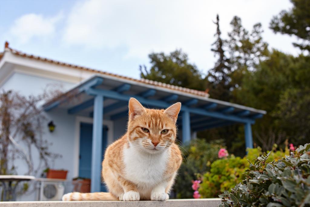Villa Irini Porto Cheli Exteriér fotografie