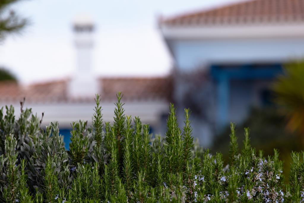 Villa Irini Porto Cheli Exteriér fotografie